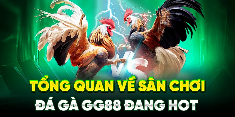 Tổng quan về sân chơi đá gà gg88 đang hot 